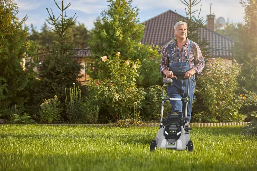 self powered lawn mower