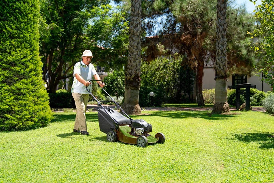 self powered lawn mower